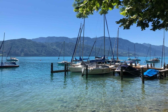 Blick auf den Attersee