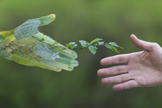 Eine menschliche und eine grün-blättrige Hand nähern sich mittels Handschlag